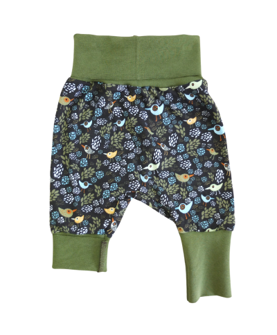 Sarouel évolutif oiseau fond vert