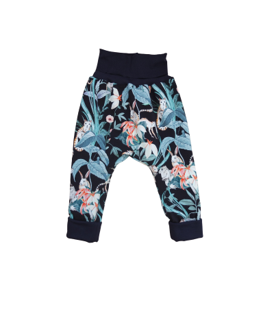 sarouel évolutif mixte