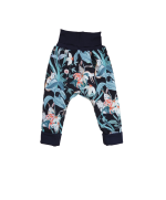 sarouel évolutif mixte