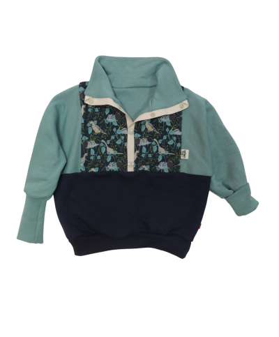 Sweat evolutif dinosaure